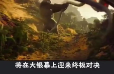 2021年必看16部电影,16部佳作引领光影盛宴