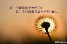 句子唯美简短,情感流转——唯美简短句子精选”