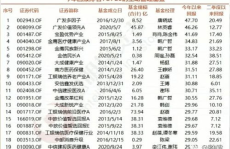 网红基金排名,揭秘热门基金投资风向