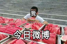 吃瓜落,揭秘娱乐圈背后的故事与真相